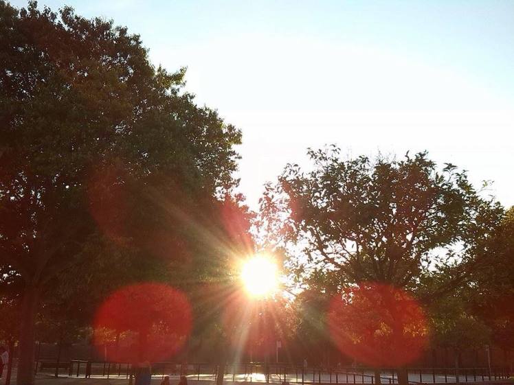 10726211_10152455002263543_1674860120_n