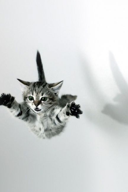 fdfe90d6884e95e16f2796b047d65a23