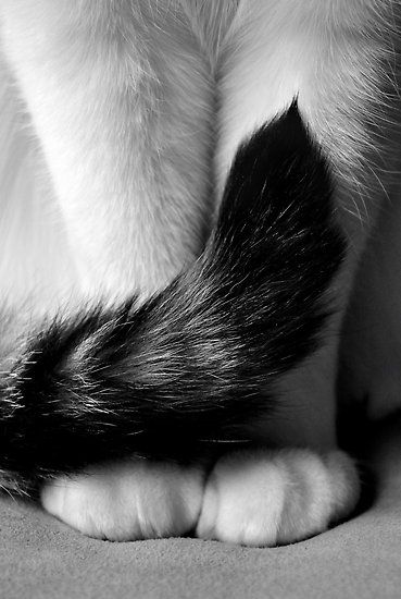 6721d596c532adf546d7a7bf757f63b2