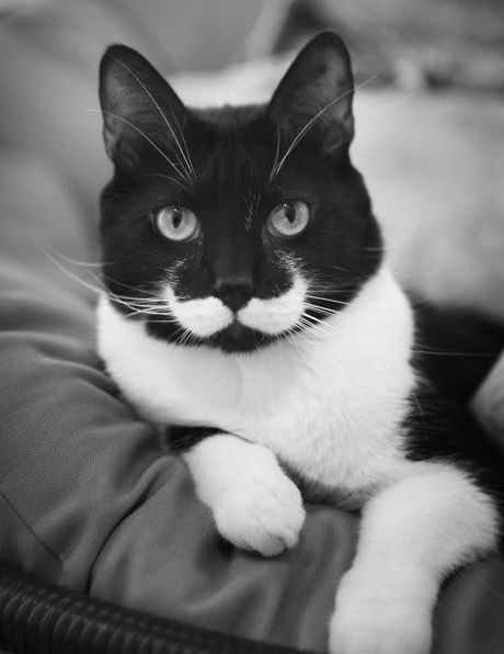 f457016670424683cac1d9e636267e22