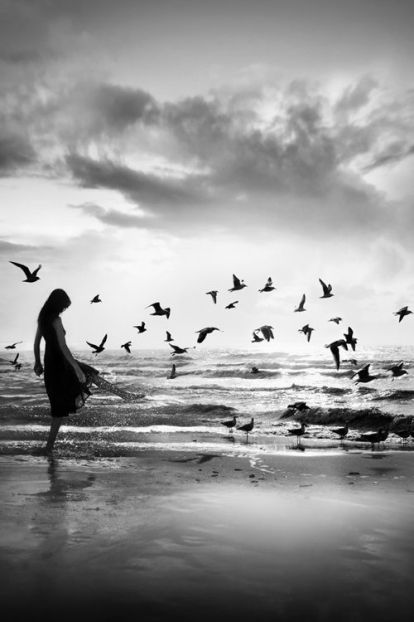 65c62518ce80c1088f88774e32e88013