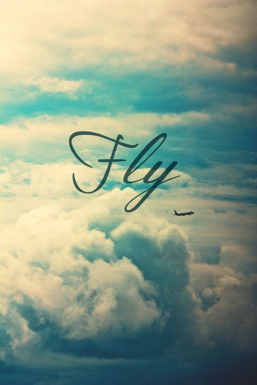 133eef04d2c36a913a7feb602d749c77