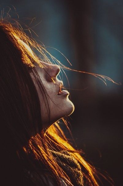 19431859261e12c5ba63da8f57b776ee